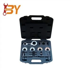 13pcs Magna Timing Issettjar Qfil Għodda Kit Għal Rover KV6 Auto Set